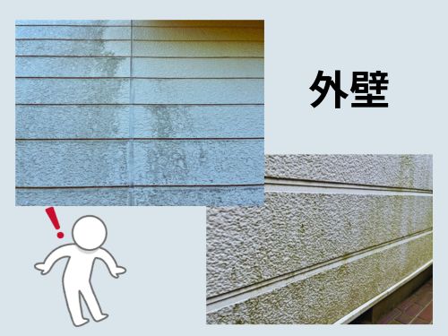 霧島市の外壁や屋根のコケ・カビに要注意！劣化のサインと対策2
